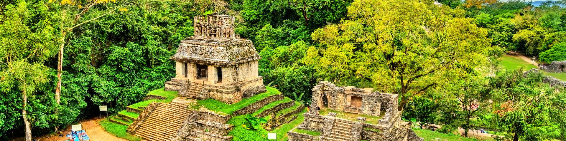 メキシコ ワクチン — 吉祥寺日帰り手術クリニック